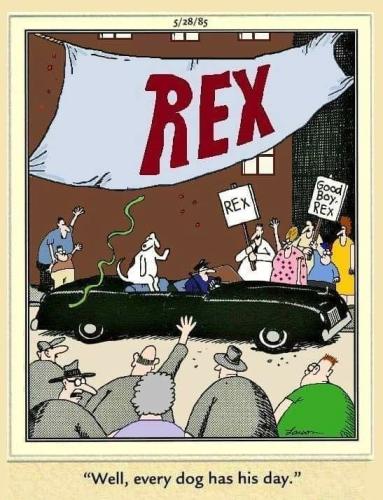 Every dog has his day