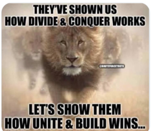 HYbAtPgDxFFWBFLzMzfA_14_c13cc2e0ea2dbfbb61398fa0d5da8e51_image_original