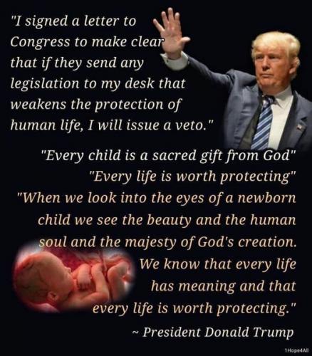 trump - pro-life