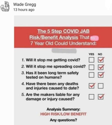 7 year old could understand