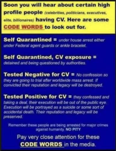 1A960A20-F4D8-4C0A-8BEC-987998F4121E