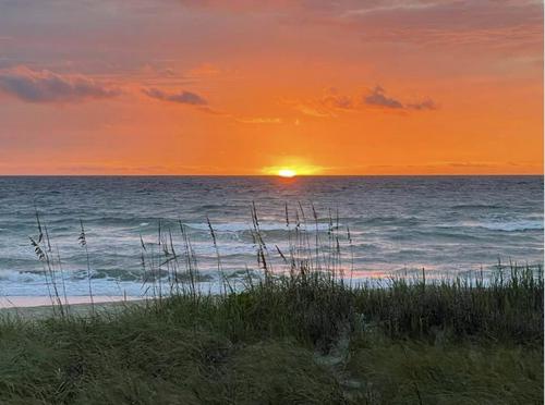 2ea21a2f00d795c3bbba042711029230_500x0