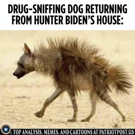 01FHGBBQSZXWGAJ3S59RBMZWF5