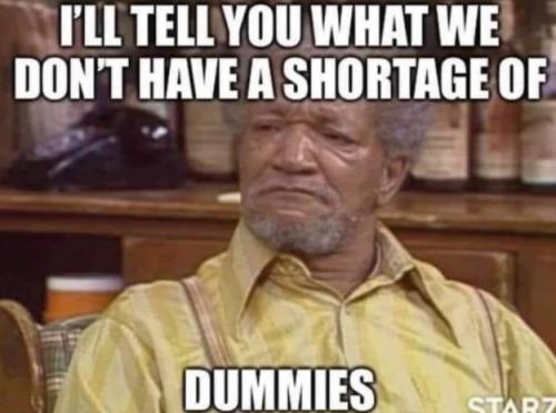 dummies