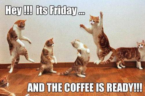 7AMDJ7NWOjBw7MJWcaI6_15_e44d3fb55a1780d695b1659fa36b67ce_image