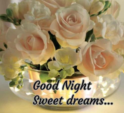 Good-Night-GIF-Images-For-Whatsapp-Hd-Download-For-Whatsapp-wpp1608113610760