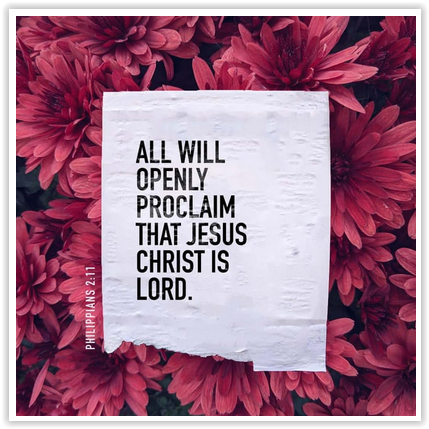 Screen Shot 10-17-21 at 04.56 AM