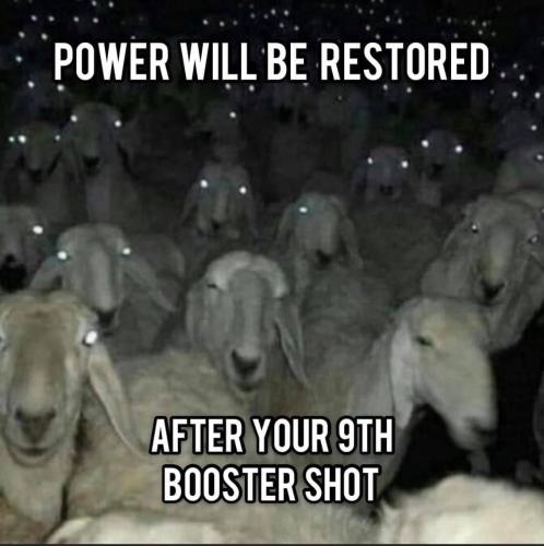 photo_2021-10-26_18-47-48