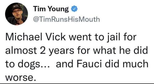 Michael Vick