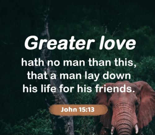 John 15:13