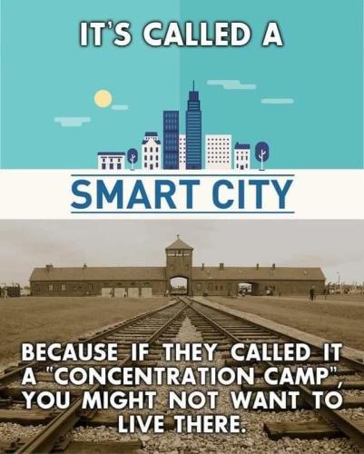 xephula_3f7a2d23687ae42a3bcbe77ecc3e3645