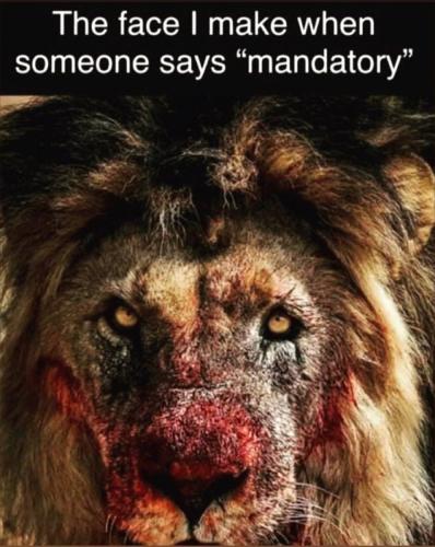 photo_2021-10-08_19-52-42