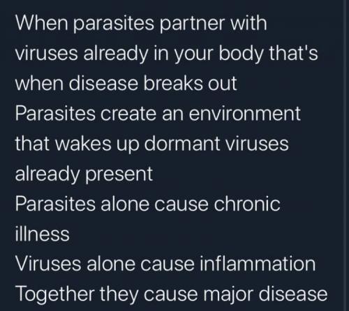 jSKYEHszzVFNYF8lrPWR_07_1f462a93b04bc2928d0146ac964b7f75_image_original