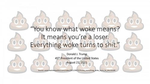You know what woke means