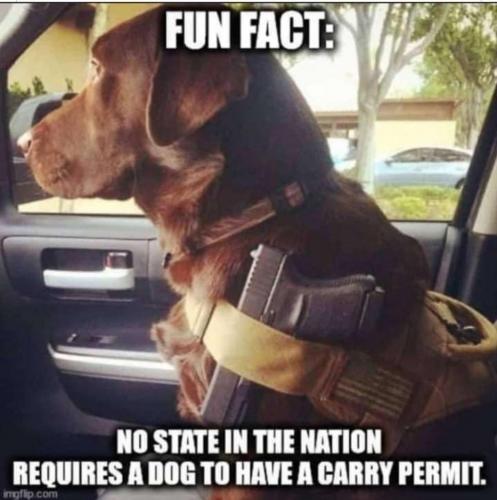 5b429079da31e1185bce6f566834e8f1_1024