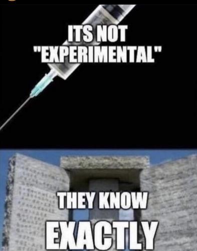 D09001BA-063F-40A2-9ED1-372F126796B3