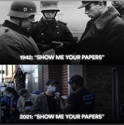 M papers