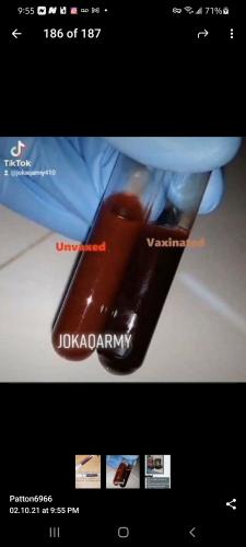 Screenshot_20211002-215557_Telegram