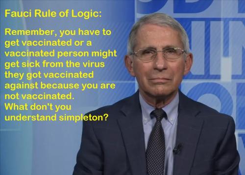Fauci Get Vaccinated to Protect Vaccinated People