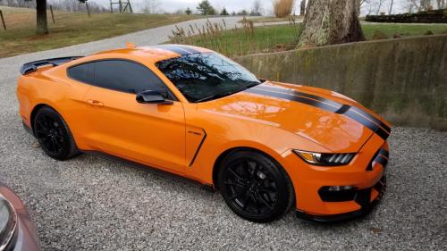 gt350-gt-vudo-web