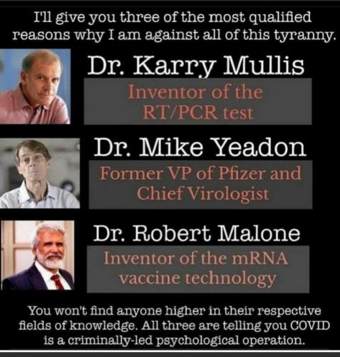 image_1636356248.473