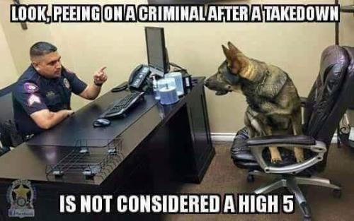 FB_IMG_1553778413592