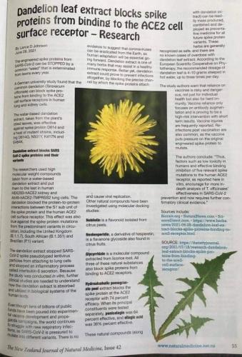 81bae8cc-1899-48c9-8cbe-c1874b0c1612d