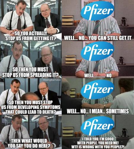 wp-content