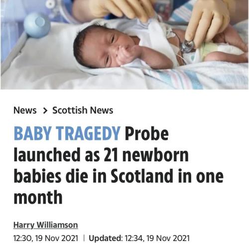 ScottishBabies1