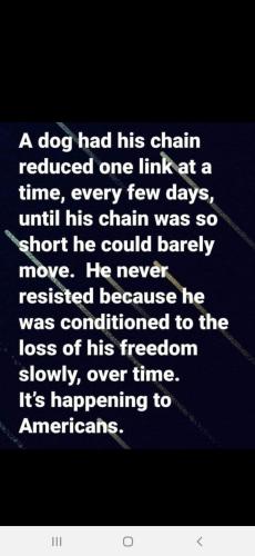 Screenshot_20211105-220043_Wimkin