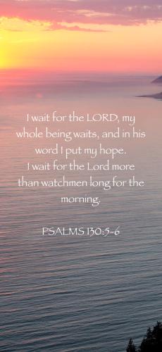 E833D7C3-8703-4313-AC7E-5D2C6F50D248