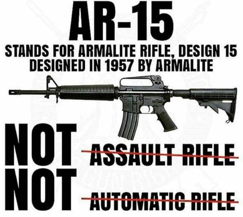 Guns425