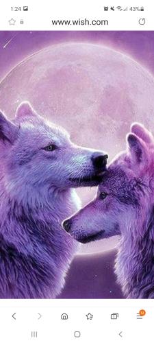 Screenshot_20210914-132459_Samsung Internet