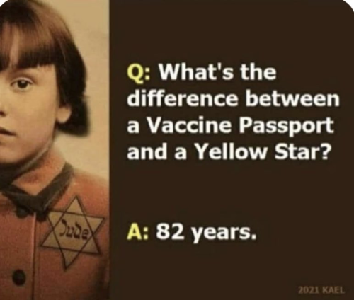 img - 2021-11-18T141358.510