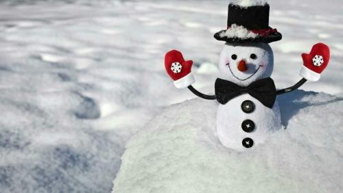 FB_IMG_1607432792604