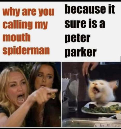 2227A24B-E39A-42B7-811B-AF75DBD9EA2C