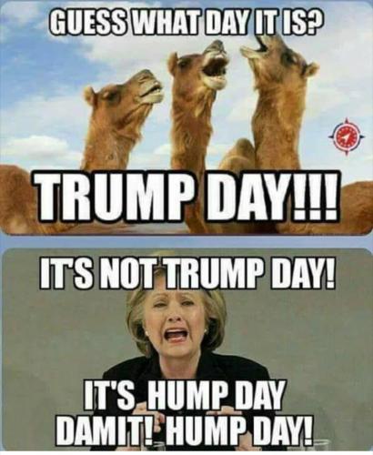 Trump Day II