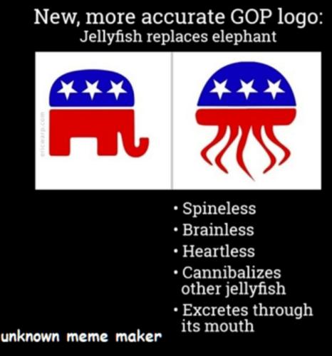 e29b3e46dbc270c1c6770c5a6570bd6a_500x0