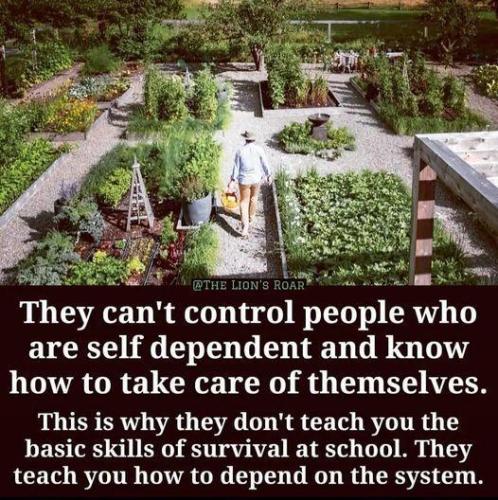 img - 2021-11-29T144101.772