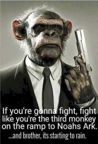 252948040_10219854476299067_3873966027731138909_n