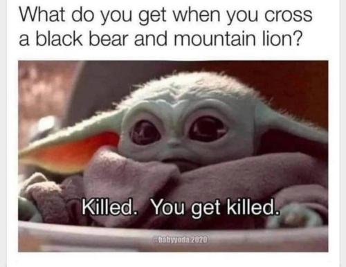 Screenshot_20211030-121050_MeWe