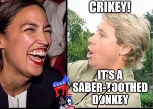 Tumblr_l_38180860999549