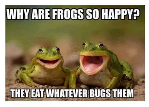 FB_IMG_1598628384366