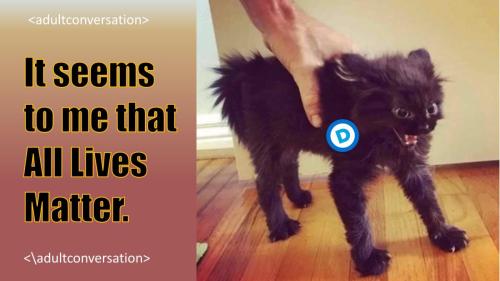 1madcatAll Lives Matter