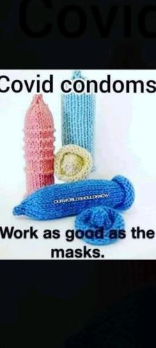 image_1637670105.494