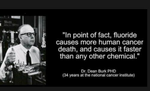 Screenshot_20211119-014857_Gallery