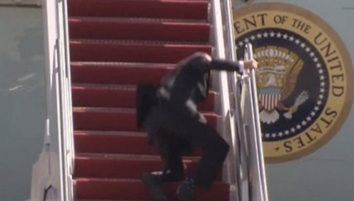 Capture+_2021-11-04-11-33-04(1)