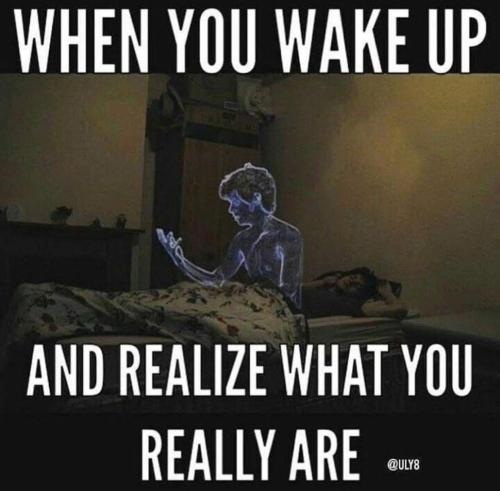 FB_IMG_1637295071350