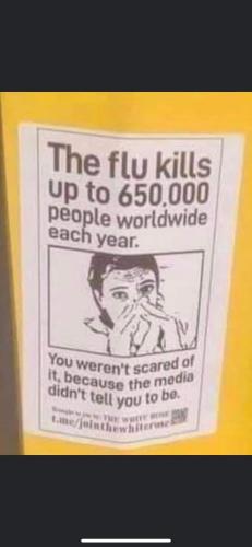 FB_IMG_1637746833377
