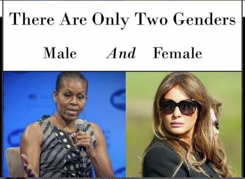 image_1637003060.524